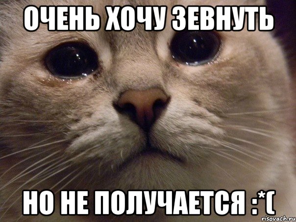 очень хочу зевнуть но не получается :*(