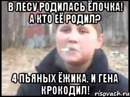 В лесу родилась елочка и гена крокодил. Кто ее родил 4 пьяных ежика и Гена крокодил. В лесу родилась ёлочка 4 пьяных ежика. В лесу родилась ёлочка... Четыре пьяных Ёжика и Гена крокодил. В лесу родилась ёлочка а кто её родил 4 пьяных Ёжика и Гена.