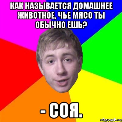 как называется домашнее животное, чье мясо ты обычно ешь? - Соя., Мем Потому что я модник