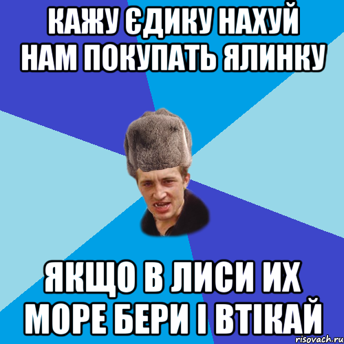 Кажу єдику нахуй нам покупать ялинку Якщо в лиси их море бери і втікай