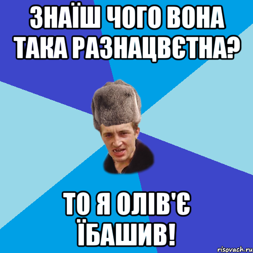 Знаїш чого вона така разнацвєтна? То я олів'є їбашив!, Мем Празднчний паца