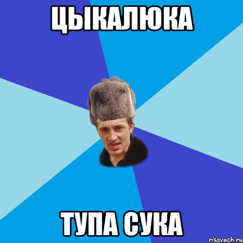 цыкалюка тупа сука, Мем Празднчний паца