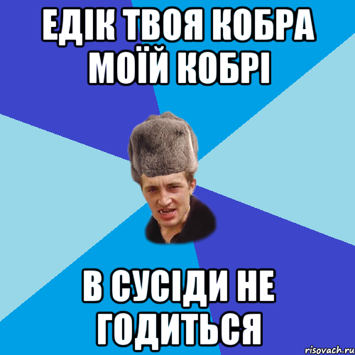 Едік твоя кобра моїй кобрі В сусіди не годиться, Мем Празднчний паца