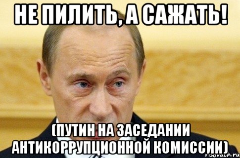 Пошла писать. Путин Мем препод. Путин конференция мемы. Комиссия Мем. Мужик ты чо.