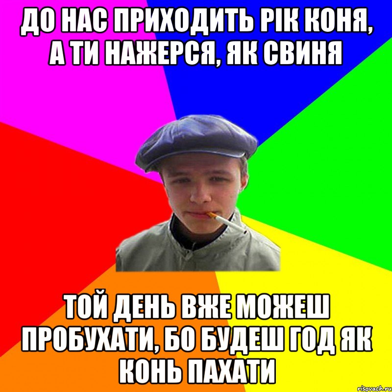 до нас приходить рік Коня, а ти нажерся, як свиня той день вже можеш пробухати, бо будеш год як конь пахати, Мем реальний мужичяра