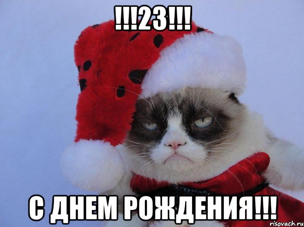 !!!23!!! С ДНЕМ РОЖДЕНИЯ!!!, Мем   С нг кароч