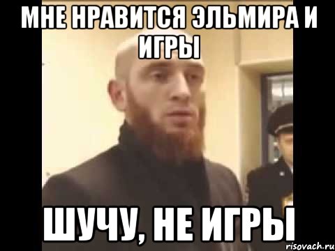 МНЕ НРАВИТСЯ ЭЛЬМИРА И ИГРЫ ШУЧУ, НЕ ИГРЫ, Мем Шучу