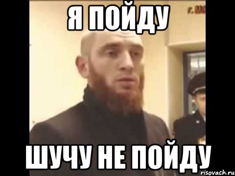 Я пойду шучу не пойду, Мем Шучу