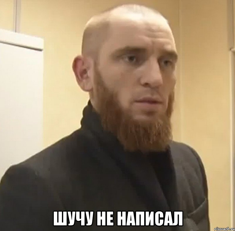  шучу не написал, Мем Шучу