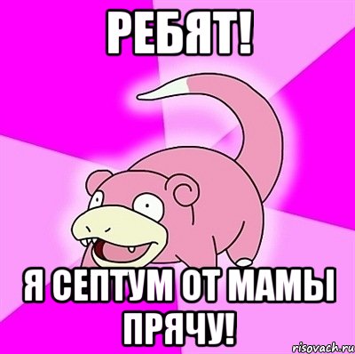 Ребят! Я септум от мамы прячу!, Мем слоупок