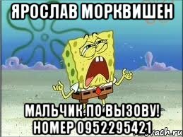 Ярослав Морквишен Мальчик по вызову! номер 0952295421, Мем Спанч Боб плачет