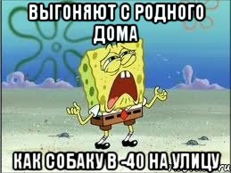 выгоняют с родного дома как собаку в -40 на улицу, Мем Спанч Боб плачет