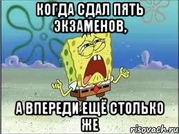 когда сдал пять экзаменов, а впереди ещё столько же, Мем Спанч Боб плачет