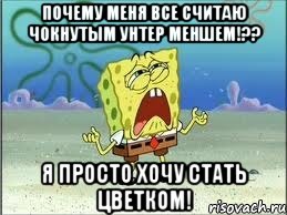 почему меня все считаю чокнутым унтер меншем!?? Я просто хочу стать цветком!, Мем Спанч Боб плачет