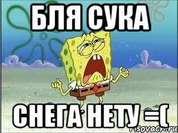 бля сука снега нету =(, Мем Спанч Боб плачет