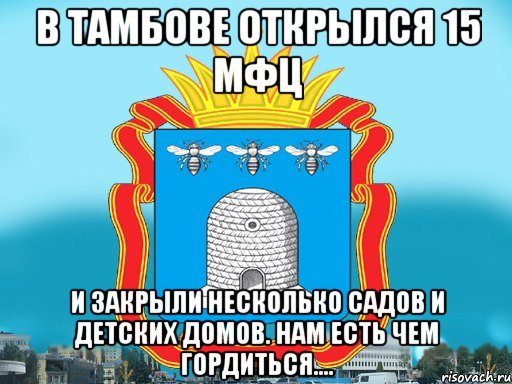 В Тамбове открылся 15 МФЦ И закрыли несколько садов и детских домов. Нам есть чем гордиться....