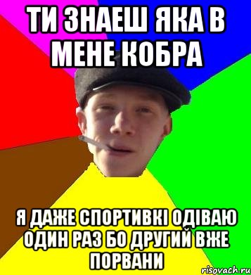 ти знаеш яка в мене кобра я даже спортивкі одіваю один раз бо другий вже порвани, Мем умный гопник