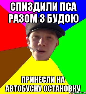 спиздили пса разом з будою принесли на автобусну остановку, Мем умный гопник