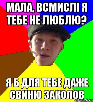 мала, всмислі я тебе не люблю? я б для тебе даже свиню заколов, Мем умный гопник