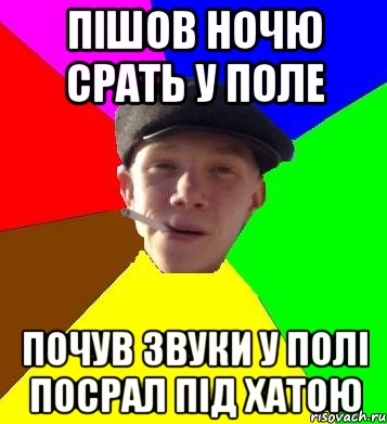 Пішов ночю срать у поле почув звуки у полі посрал під хатою, Мем умный гопник