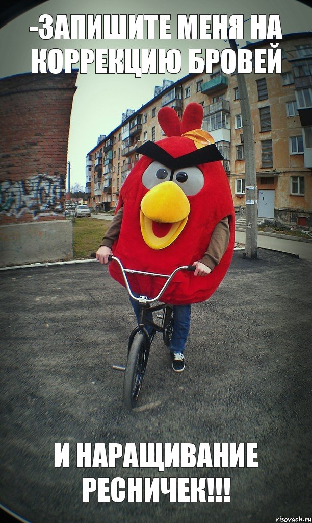 -Запишите меня на коррекцию бровей и наращивание ресничек!!!, Комикс  Angry bird на велике