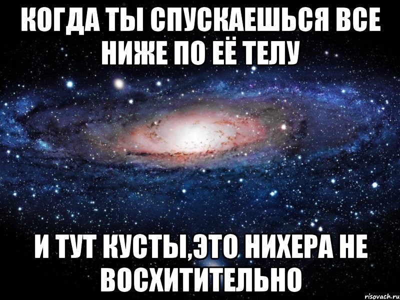 Когда ты спускаешься все ниже по её телу и тут кусты,это нихера не восхитительно, Мем Вселенная