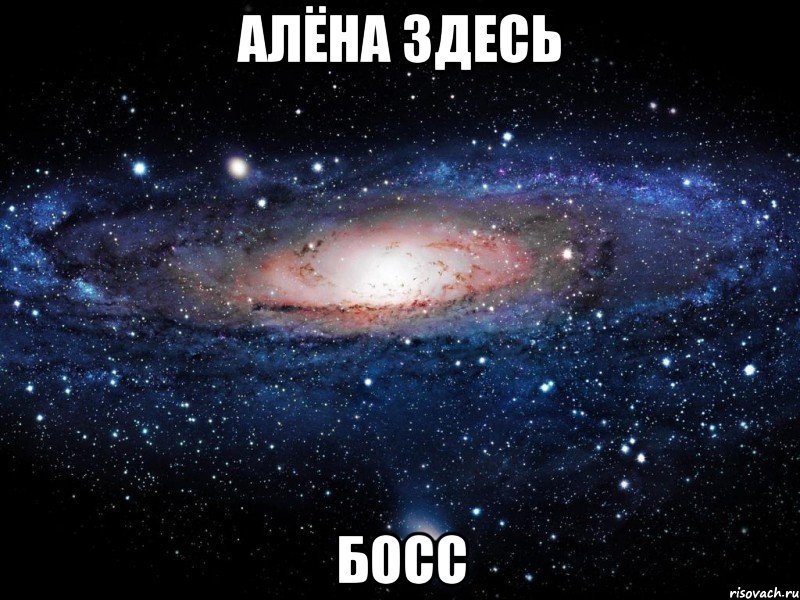 АЛЁНА ЗДЕСЬ БОСС, Мем Вселенная