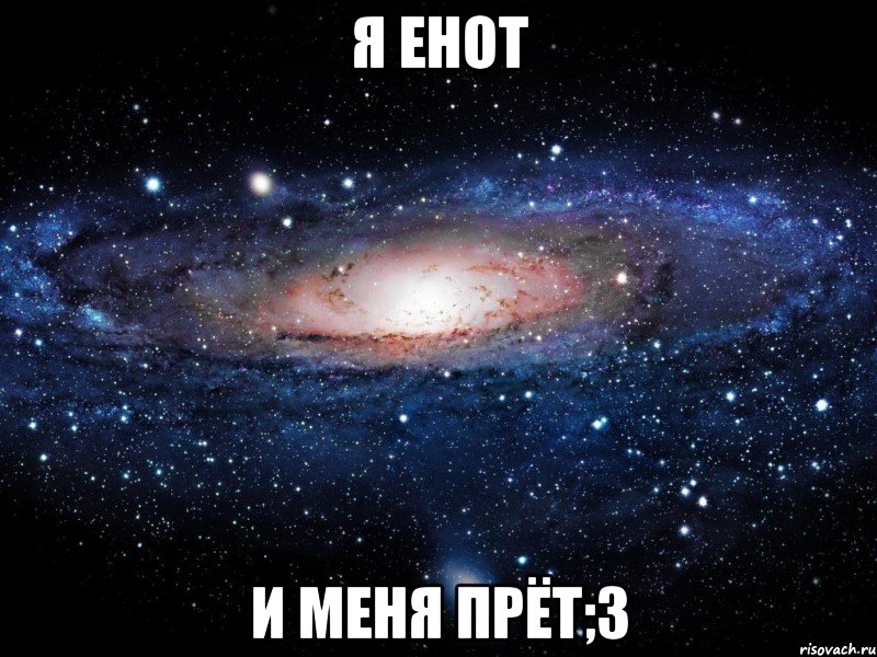 Я Енот И меня прёт;3, Мем Вселенная