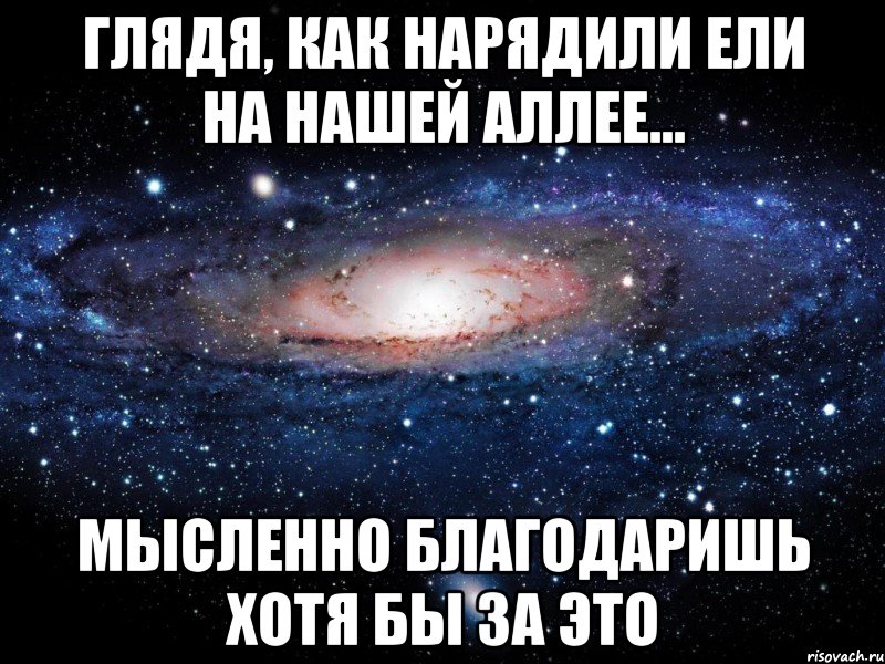 Глядя, как нарядили ели на нашей аллее... Мысленно благодаришь хотя бы за ЭТО, Мем Вселенная