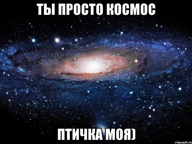 Ты просто космос Птичка моя), Мем Вселенная