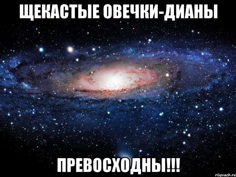 Удалю тебя. Рома тупой. Человек Вселенная Мем. С тобой классно. С тобой классно общаться.