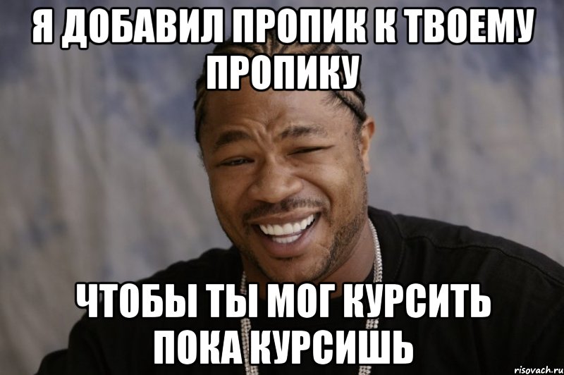 Я добавил пропик к твоему пропику Чтобы ты мог курсить пока курсишь, Мем Xzibit