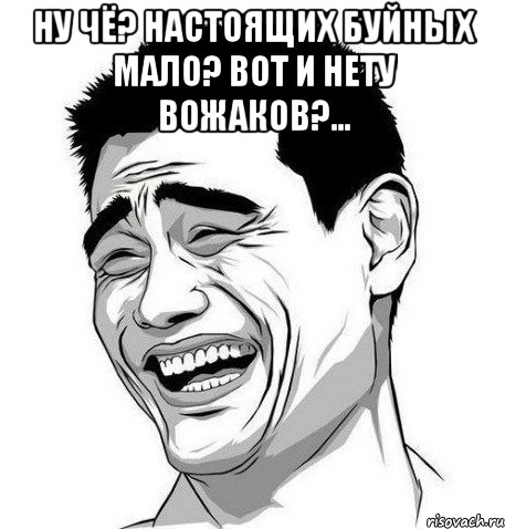 НУ ЧЁ? НАСТОЯЩИХ БУЙНЫХ МАЛО? ВОТ И НЕТУ ВОЖАКОВ?... , Мем Яо Мин