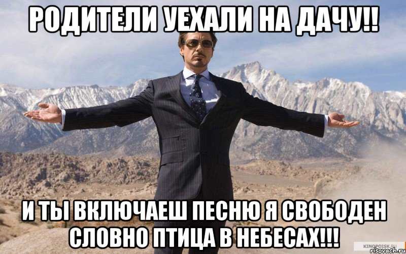 Родители уехали на дачу!! И ты включаеш песню Я СВОБОДЕН СЛОВНО ПТИЦА В НЕБЕСАХ!!!, Мем железный человек