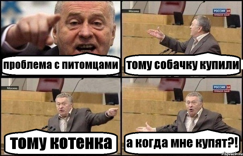 проблема с питомцами тому собачку купили тому котенка а когда мне купят?!, Комикс Жириновский