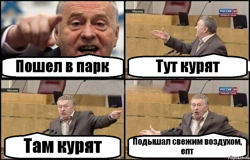 Пошел в парк Тут курят Там курят Подышал свежим воздухом, епт, Комикс Жириновский