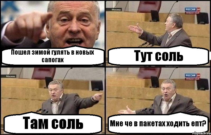 Пошел зимой гулять в новых сапогах Тут соль Там соль Мне че в пакетах ходить епт?, Комикс Жириновский