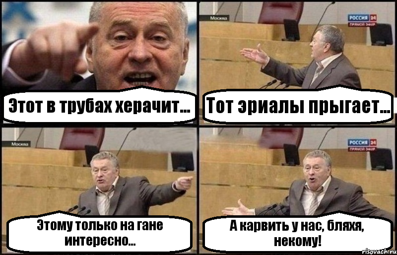 Этот в трубах херачит... Тот эриалы прыгает... Этому только на гане интересно... А карвить у нас, бляхя, некому!, Комикс Жириновский