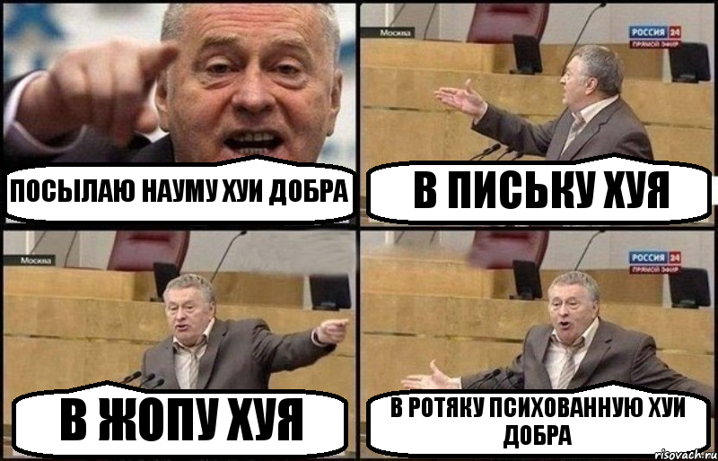 ПОСЫЛАЮ НАУМУ ХУИ ДОБРА В ПИСЬКУ ХУЯ В ЖОПУ ХУЯ В РОТЯКУ ПСИХОВАННУЮ ХУИ ДОБРА, Комикс Жириновский