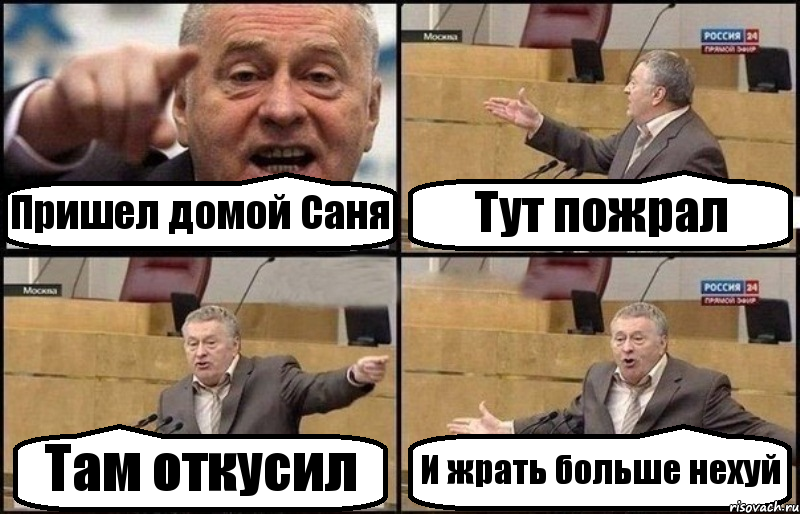 Пришел домой Саня Тут пожрал Там откусил И жрать больше нехуй, Комикс Жириновский