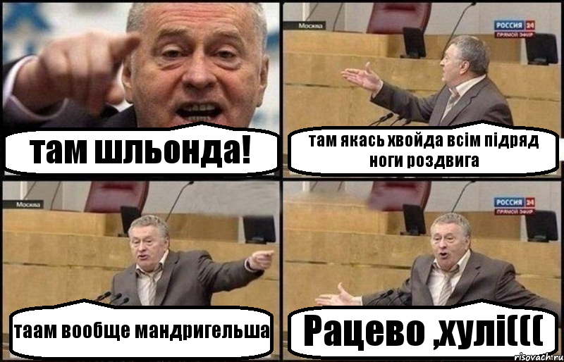 там шльонда! там якась хвойда всім підряд ноги роздвига таам вообще мандригельша Рацево ,хулі(((, Комикс Жириновский