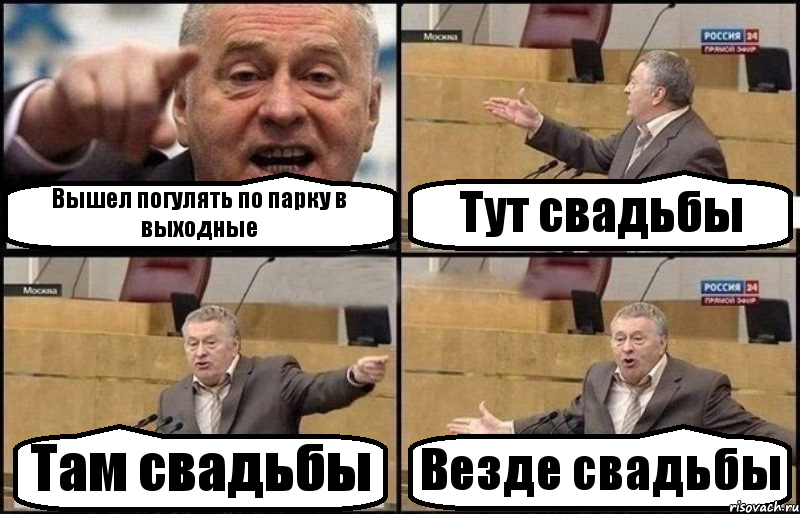 Вышел погулять по парку в выходные Тут свадьбы Там свадьбы Везде свадьбы, Комикс Жириновский