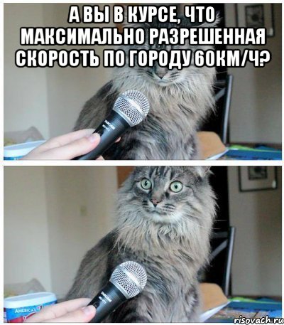 а вы в курсе, что максимально разрешенная скорость по городу 60км/ч? , Комикс  кот с микрофоном