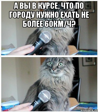 а вы в курсе, что по городу нужно ехать не более 60км/ч? , Комикс  кот с микрофоном