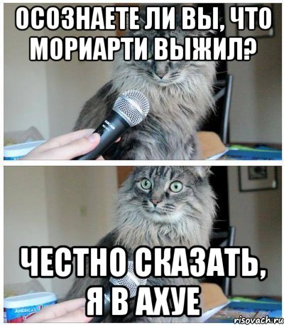 Я в ахуе. Картинка если честно я в ахуе. Честно сказать я в Аухе кот. Я В ахуе честно сказать Мем олень. Фото я в ахуе честно сказать.