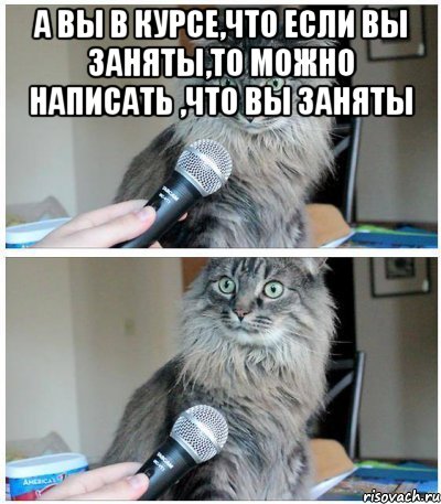 А вы в курсе,что если вы заняты,то можно написать ,что вы заняты , Комикс  кот с микрофоном