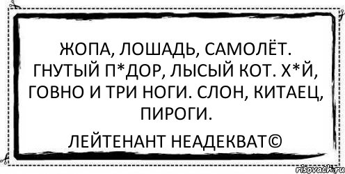 Жопа, лошадь, самолёт. Гнутый п*дор, лысый кот. Х*й, говно и три ноги. Слон, китаец, пироги. Лейтенант Неадекват©, Комикс Асоциальная антиреклама