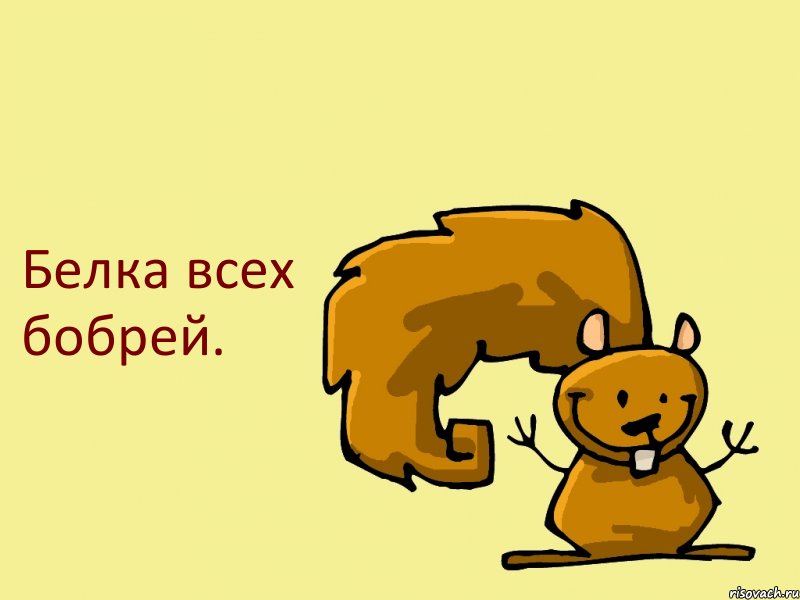 Белка всех бобрей., Комикс  белка