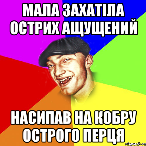 мала захатіла острих ащущений насипав на кобру острого перця, Мем Чоткий Едик