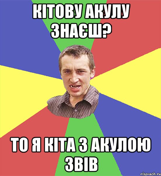 кітову акулу знаєш? то я кіта з акулою звів, Мем чоткий паца